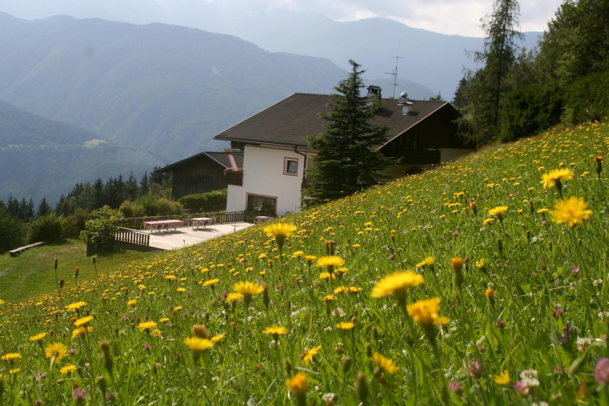 Biogasthaus Plonerhof Bresanona Exterior foto